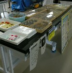 DSCN25890001.jpg