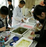 DSCN25970001.jpg