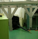 DSCN27660001.jpg