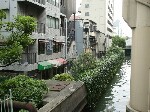 DSC070930001.jpg