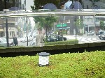 DSC071010001.jpg
