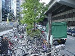 DSC071330001.jpg