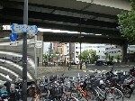 DSC071340001.jpg